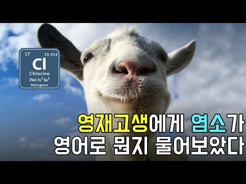 #Shorts | 영재고 학생들에게 염소가 영어로 뭔지 물어보았다!