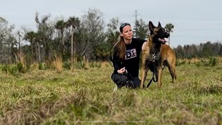 Dog Day Out (Birthday Rain Check) #smartdog #doglife #dog