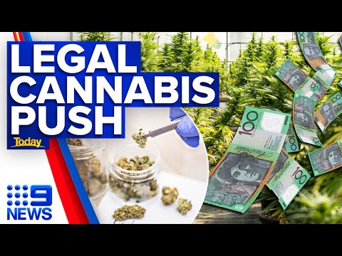 Greens plan to legalise cannabis could inject billions into the economy | 9 news australia