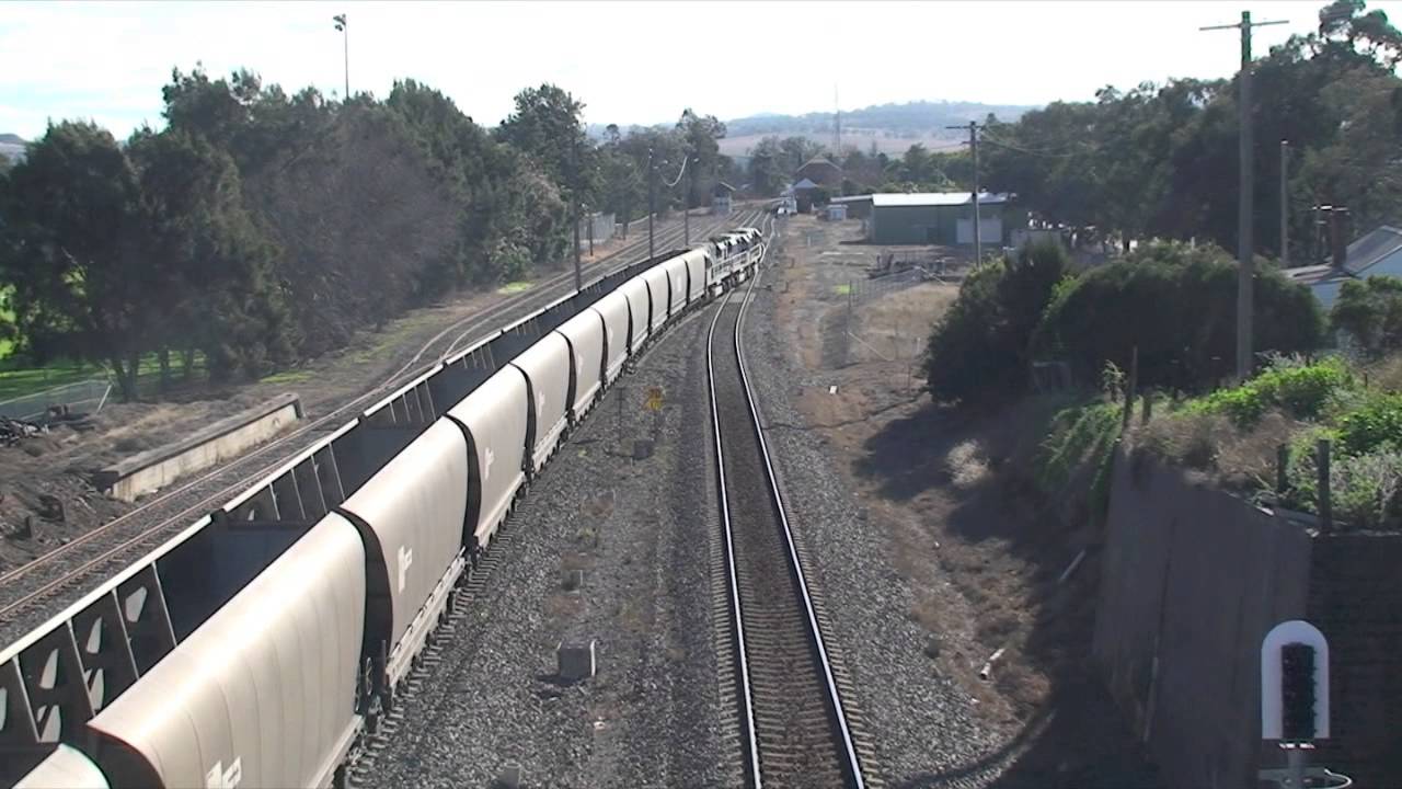 Muswellbrook train YouTube Muswellbrook train YouTube