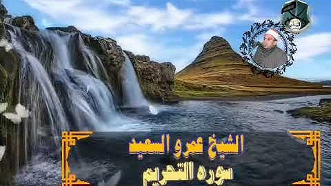 الشيخ عمرو السعيد القارئ بجمهورية مصر العربية ماتيسر من سوره التحريم 🎤🎶🎙️ تلاوه رائعه