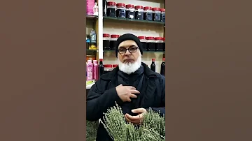 علاج منظف الرئتين من البلغم بالاعشاب شرح المعالج ابوعمر Shorts 