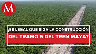 Ya no hay nada que impida la construcción del Tren Maya: Fonatur