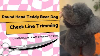 Round Head Teddy Bear Dog Cheek Line Trimming Tutorial #opawz #doggroomingtips