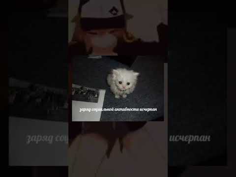 Смешной мем фон в комментариях