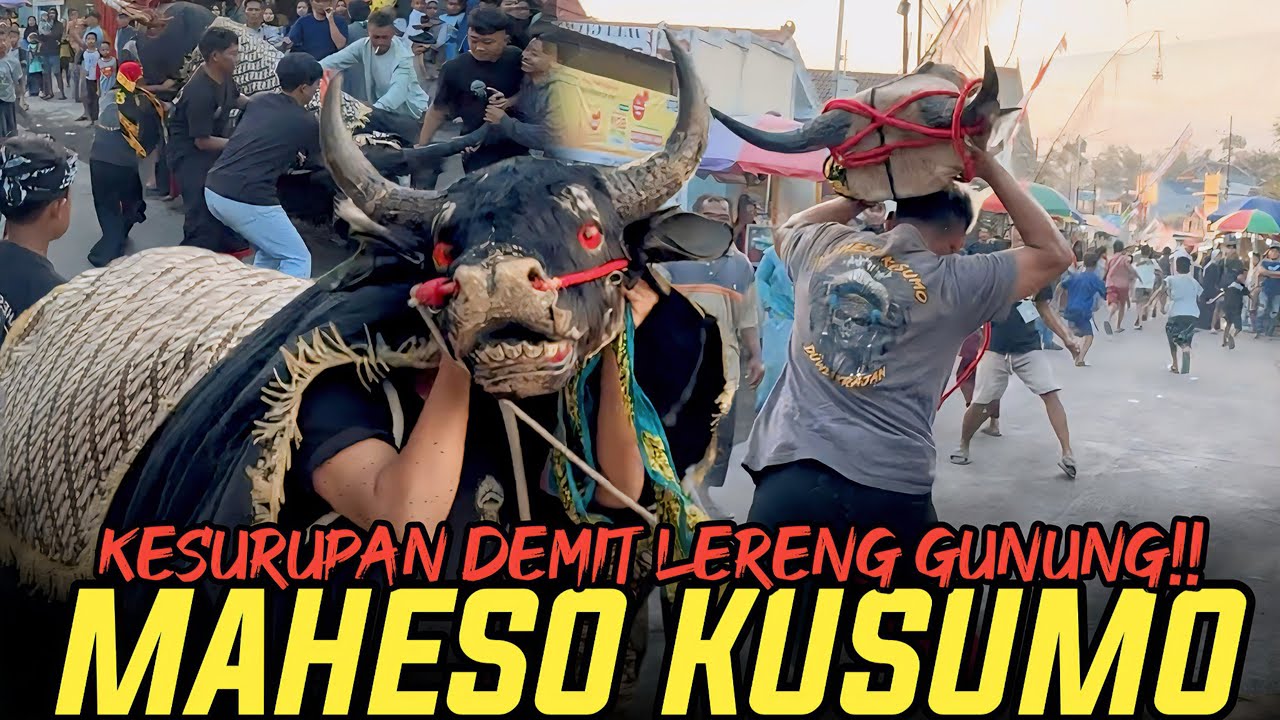 MAHESO KUSUMO KESURUPAN DEMIT DI DESA TULUS BESAR!!