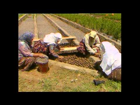 TRT Belgeseli 1998
