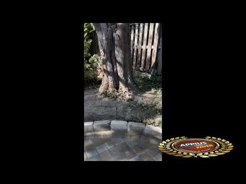 Appius Paver