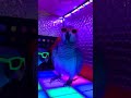 Enjoy the party #talkingparrot #funny