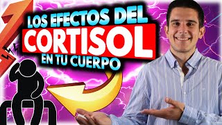 Qué ocurre en tu cuerpo si tienes el CORTISOL u Hormona del ESTRÉS Alto [Síntomas detallados]