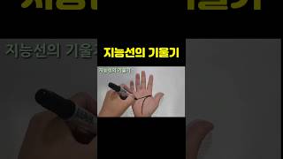 지능선의 기울기 - 지능선이 직선에 가깝나요? #손금 #성격테스트 #두뇌선