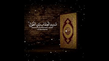 حالات واتس اب تلاوة خاشعة🎧 القارئ وديع اليمني💙