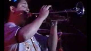 NOFX - Flossing a dead horse (live Dr. Music Festival &#39;97)