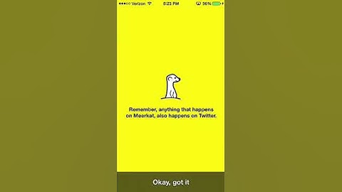 Meerkat iPhone App