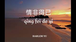Video thumbnail of "(lirik dan terjemahannya) 情非得已 qing fei de yi - Harlem Yu            (Ost - meteor garden)"