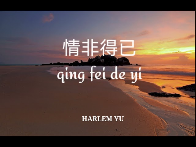 (lirik dan terjemahannya) 情非得已 qing fei de yi - Harlem Yu            (Ost - meteor garden) class=