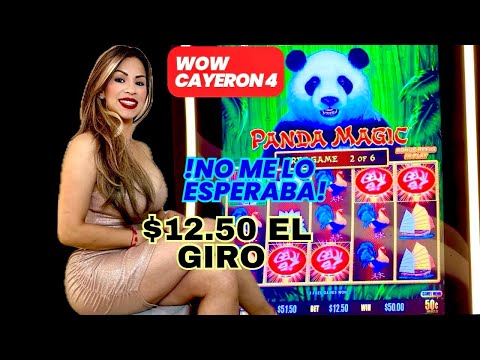 FANG BIAN PAO - KITTIES 😸 BONUS#bingo #slot #casino
