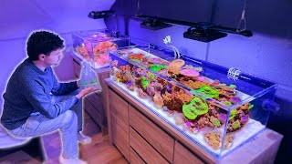 I Shouldn't Have Done This to my Reef Tank - Fish Room Update Ep. 4 by Danny's Aquariums 20,585 views 3 months ago 18 minutes