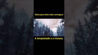 Miravi Letra Born