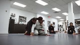Gregor Gracie teaches how to defend the lapel choke from turtle position - #bjj #gi #jiujitsu
