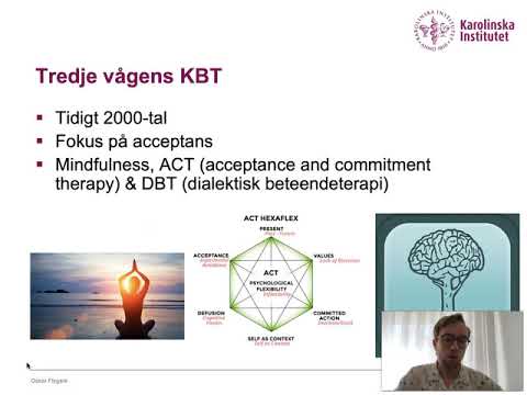 Video: Psykoterapi Hos En Psykoterapeut, Eller Varför Långvarig Psykoterapi Med En Terapeut Alltid är Mer Effektiv