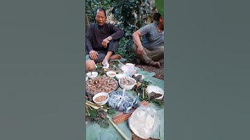 Đại Tiệc Trong Rừng-Bữa Tiệc Không Ai Muốn.