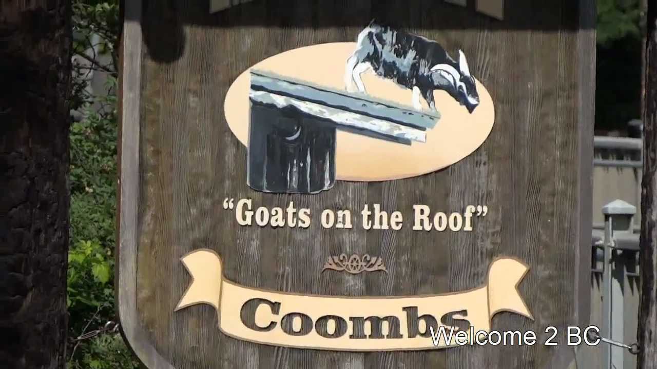 Goats on the Roof, Coombs, Vancouver Island, BC, Canada ...