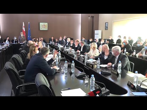 დღესვე ქუთაისის საკრებულოს თავმჯდომარის მოადგილეები აირჩიეს