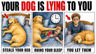 Your Dog Is Ruining Your Sleep (And You’re Letting It Happen)