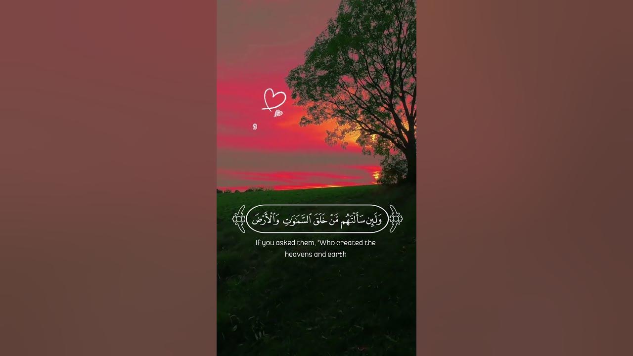 وَكَأَيِّن مِّن دَابَّةٍ لَّا تَحْمِلُ رِزْقَهَا اللَّهُ يَرْزُقُهَا ...