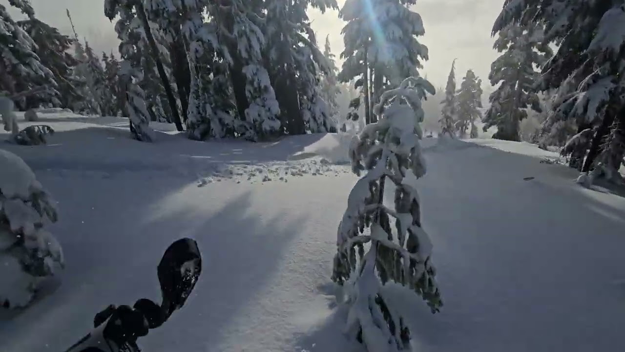 Mount Washington 20260110 with Sam