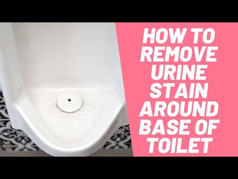 How To Remove Urine Stains From Bathroom Floor?