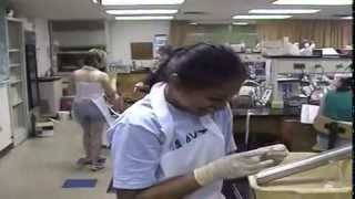 PGSS 2006 Montage (Part 2)