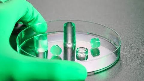 A hydrogel that adheres firmly to cartilage and meniscus