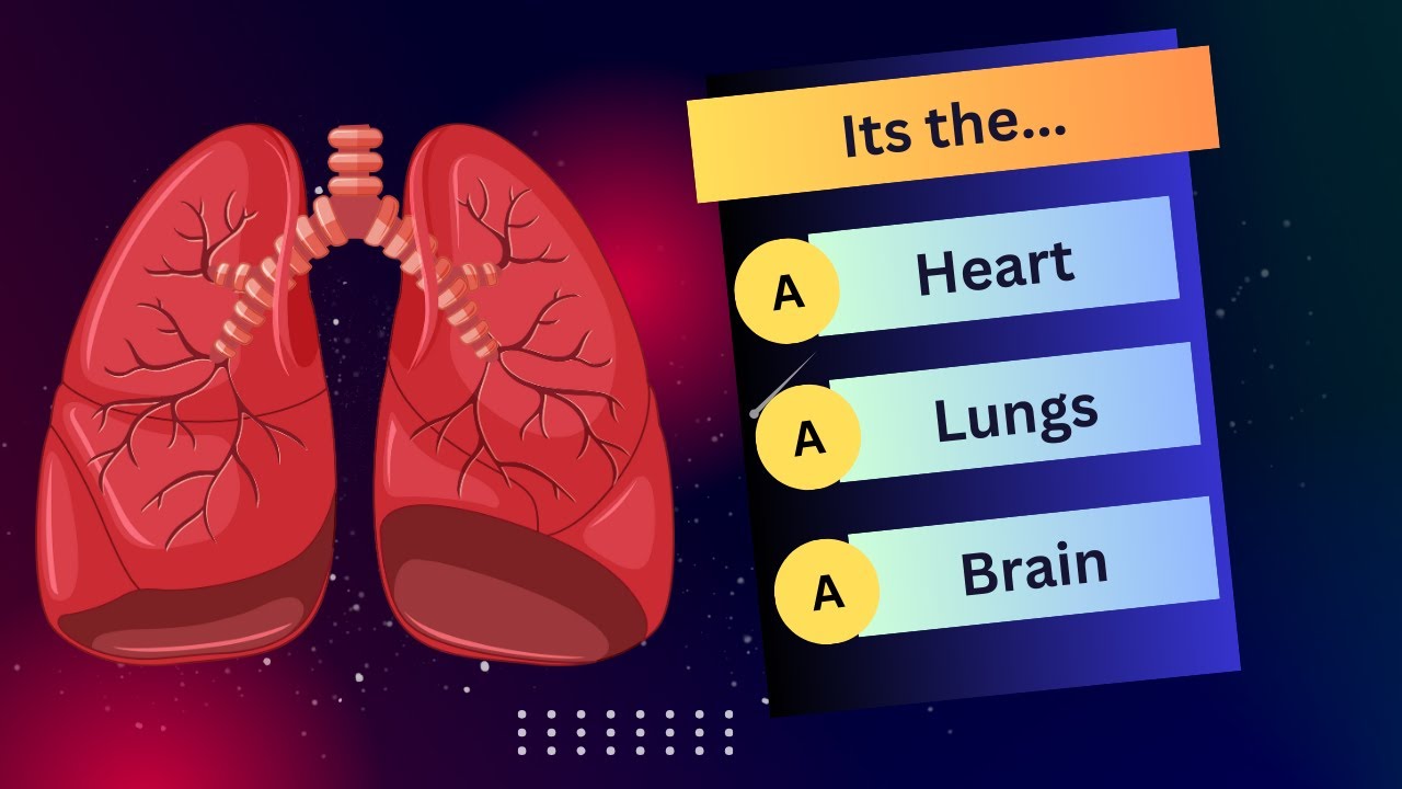 Quiz Time: Can You Pass This Human Body Quiz? - YouTube