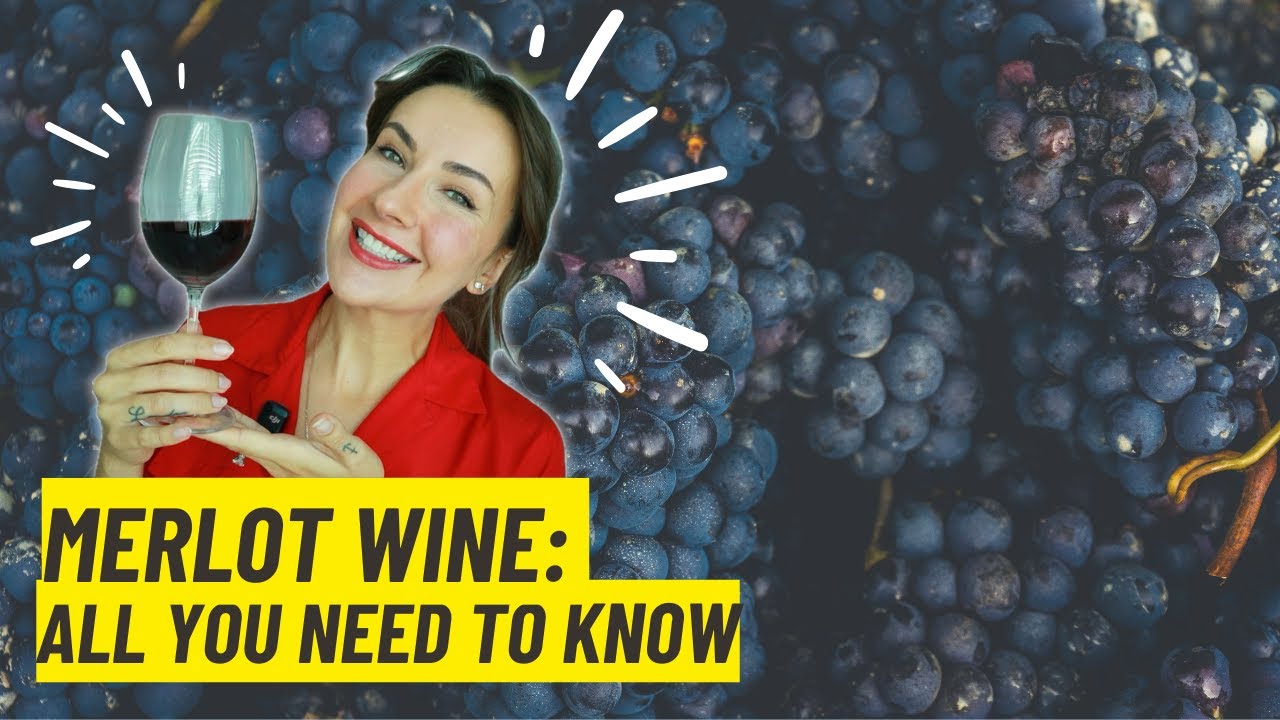 Merlot Wine Explained 🍷 Taste, Pairings & History