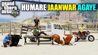 BUYING COWS FOR OUR MANDI | MANDI SERIES EPISODE 11 | HeistRobbersGTA | GTA5 PAKISTAN