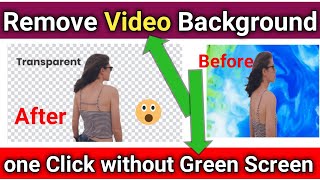 Top 10 Video Background Removers to Change Video Background[2024]