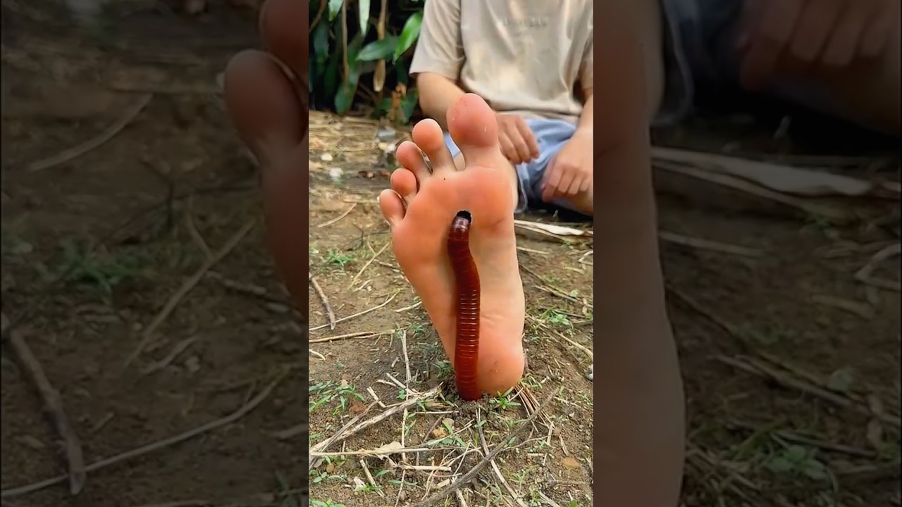 Survival Skills SMART Idea and USEFUL Kala Saab ghusGaya#tbushcraft #camping #outdoors#usefulpart-86