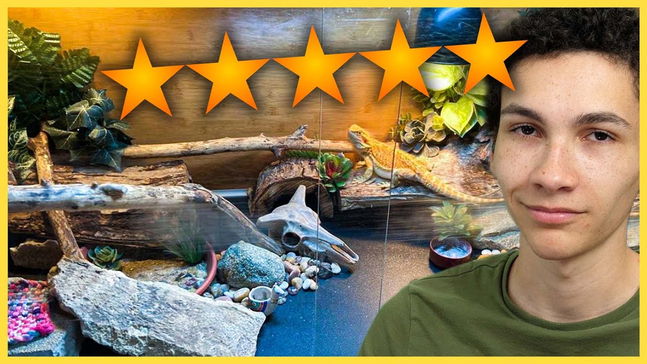 Rating Your Satisfying Reptile Enclosures - #13
