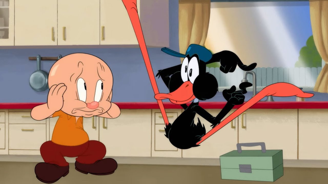 Looney Tunes - Elmer Fudd Brainwashed By Daffy Duck | Cartoon Network Show  - Youtube