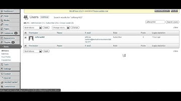 Editing Wordpress user permissions / user roles