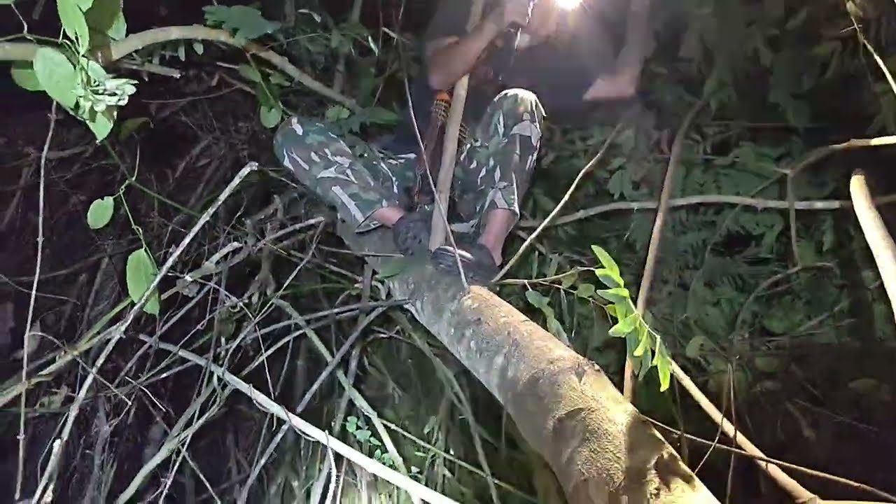 เข้ารัฐกะเหรี่ยงขึ้นห้างสูงเห็นผีเสียงผีรบกวนรอบๆกลัวมาก