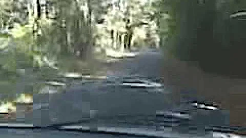 i think we made a wrong turn