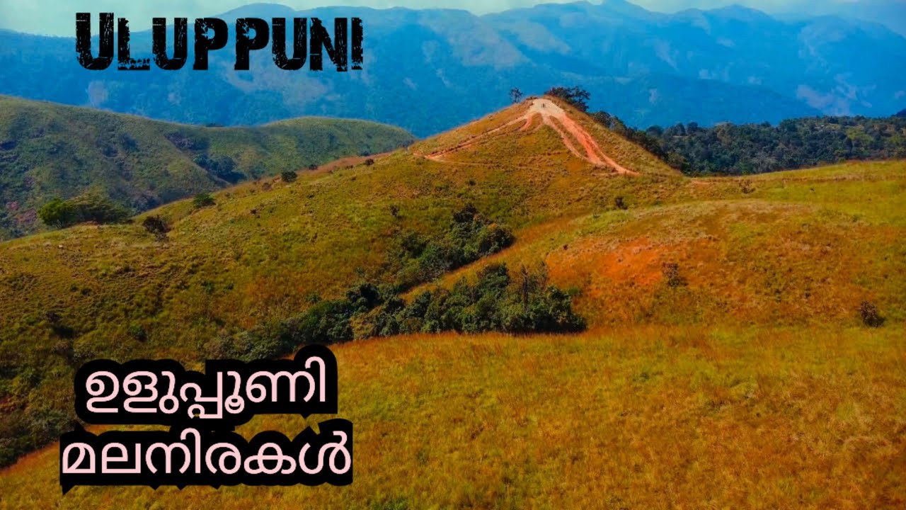 Uluppuni Hills near Vagamon/ഉളുപ്പൂണി മലനിരകൾ കാണാം
