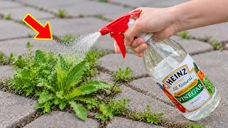 8 Clever Vinegar Hacks That Will Blow Your Mind & Make Life Easier! | Tracy Tips