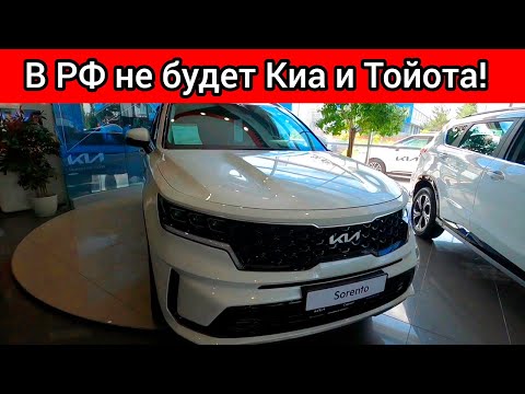 В России проблема! Популярные автомобили Киа, Хендай и Тойота не будут продавать в РФ!