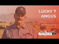 Lucky 7 Angus | American Rancher Dec 28, 2020