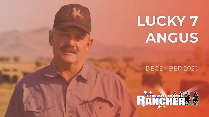 Lucky 7 Angus | The American Rancher