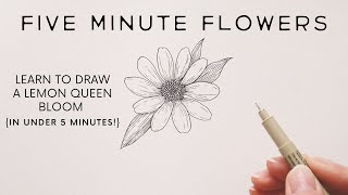 Five Minute Flowers Lemon Queen Sunflowers Real Time Drawing Tutorial